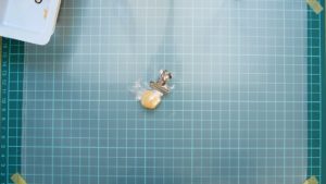 step3 粘土の準備2