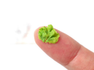 ミニチュアフードレタスの完成1