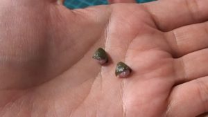 STEP3 パーツを接着2